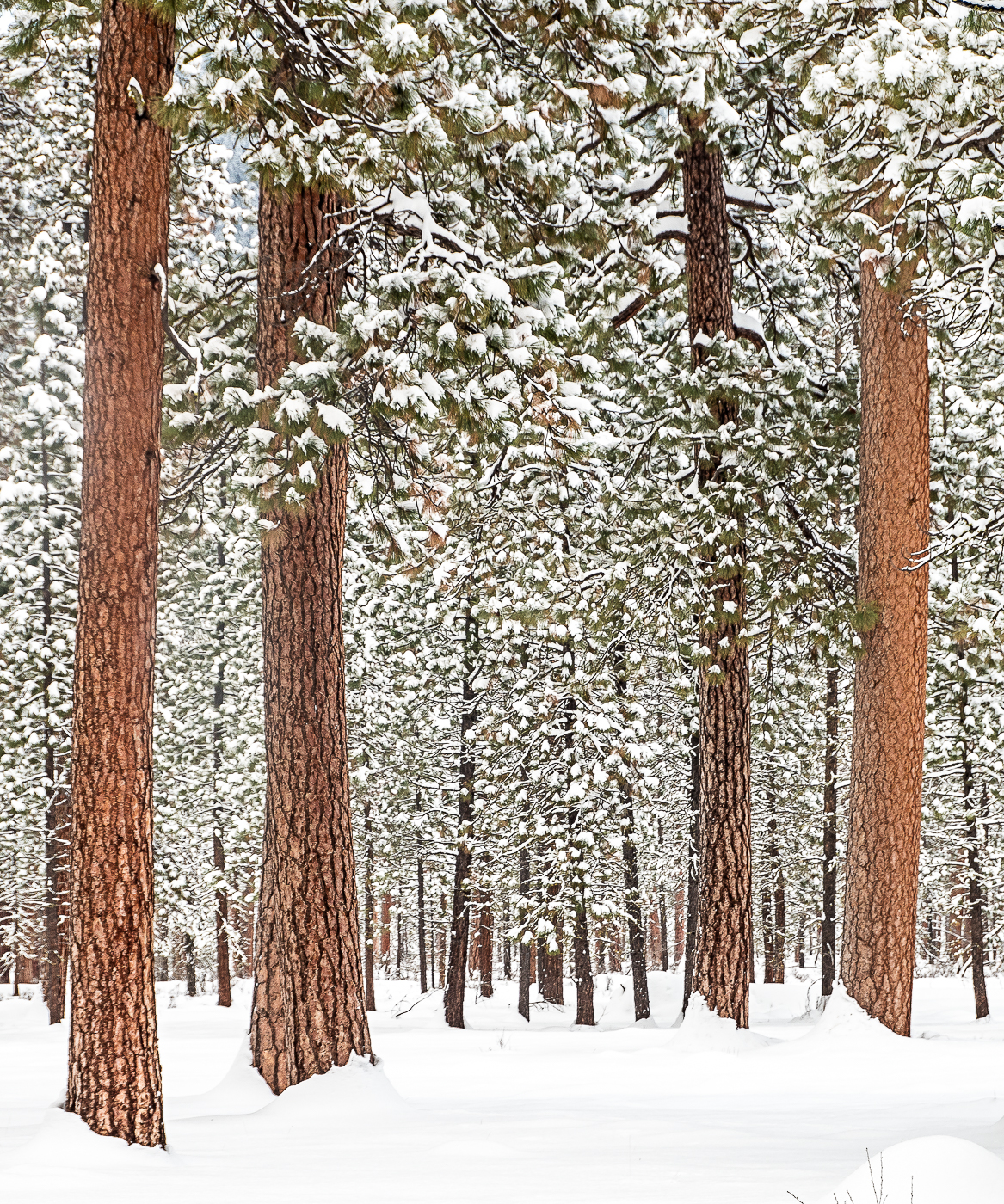 Central Oregon